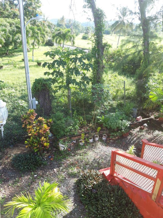 Tranquil Guest House Buccoo Buitenkant foto
